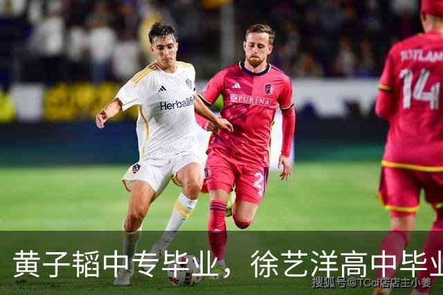 黄子韬中专毕业，徐艺洋高中毕业，学习不好的人可以参考